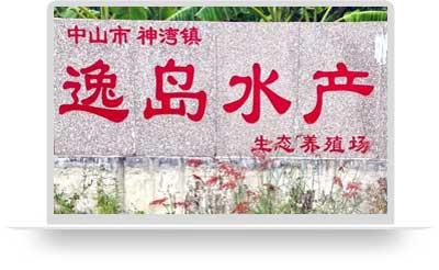 中山市逸島生態農場